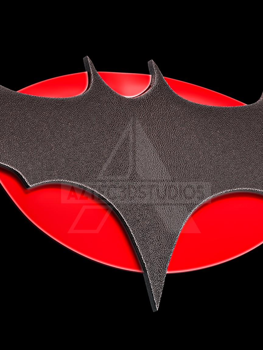 Batman Flashpoint Emblem